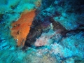 DCIM\100GOPRO\GOPR0541.