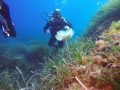 DCIM\341GOPRO