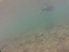DCIM\100GOPRO