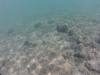 DCIM\100GOPRO
