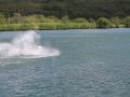 IMG_5531.jpg