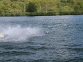 IMG_5555.jpg