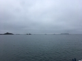IMG_0205